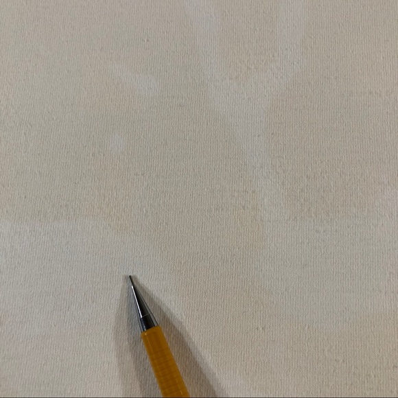 Cactus Baja California Cacti Natural History Tee - Picture 6 of 9